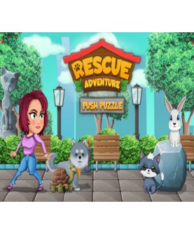 Push Puzzle - Rescue Adventure Steam Key GLOBAL